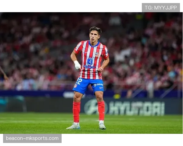 西蒙尼球队韧性分析